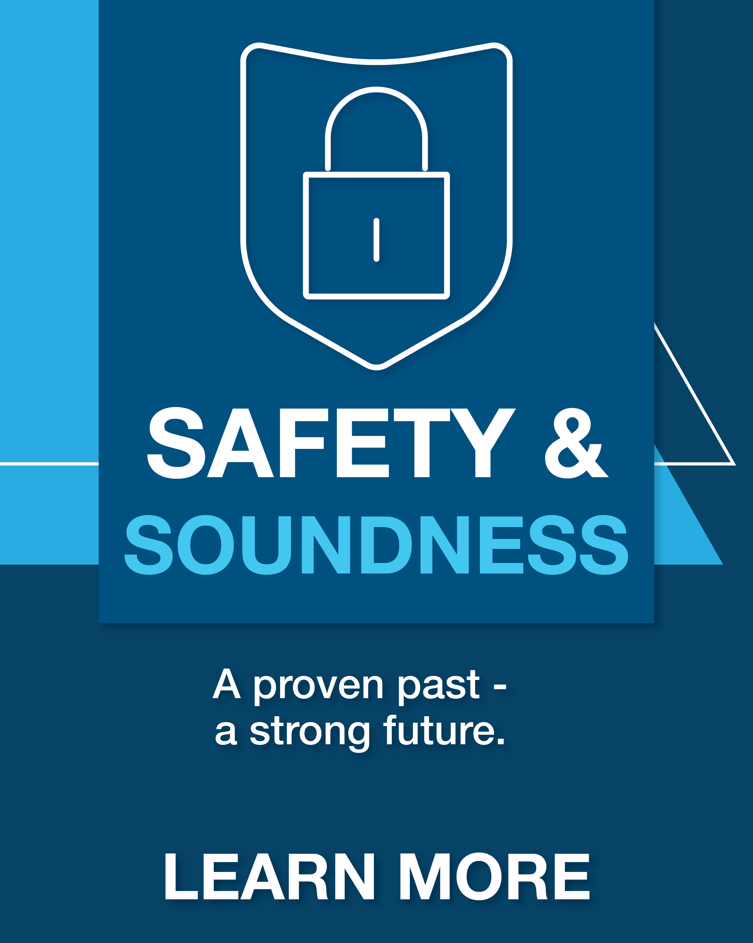 Safety and Soundness